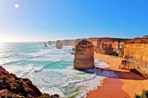 Cruise Ship Shore Excursion - Private Great Ocean Road Full Day Tour (12 Hour) - Nambucca Heads Accommodation 2