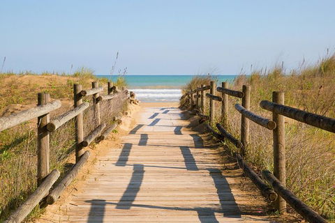 Cruise Ship Shore Excursion - Private Great Ocean Road Full Day Tour (12 Hour) - Nambucca Heads Accommodation 0