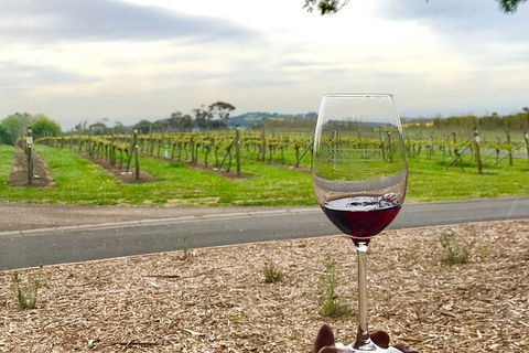 Cycle Tour | Self-Guided | Bellarine Peninsula Victoria | Food & Wine Region - Nambucca Heads Accommodation 1