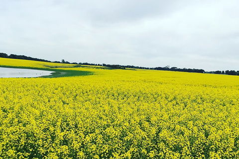 Cycle Tour | Self-Guided | Bellarine Peninsula Victoria | Food & Wine Region - Nambucca Heads Accommodation 5