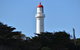 Great Ocean Road Tour Plus Koalas, Forest Walk And Morning Tea. - thumb 1