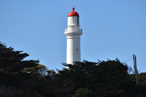 Great Ocean Road Tour Plus Koalas, Forest Walk And Morning Tea. - Nambucca Heads Accommodation 1