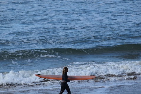 Great Ocean Road Tour Plus Koalas, Forest Walk And Morning Tea. - Nambucca Heads Accommodation 8