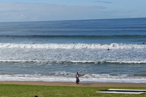Great Ocean Road Tour Plus Koalas, Forest Walk And Morning Tea. - Nambucca Heads Accommodation 9