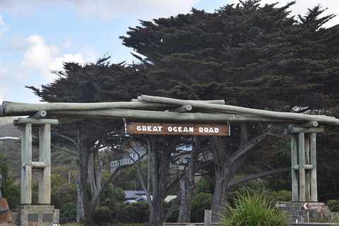 Great Ocean Road Tour Plus Koalas, Forest Walk And Morning Tea. - Nambucca Heads Accommodation 7