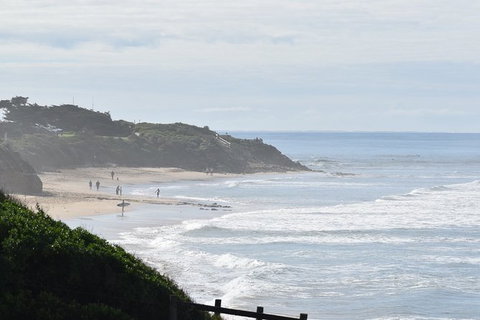 Great Ocean Road Tour Plus Koalas, Forest Walk And Morning Tea. - Nambucca Heads Accommodation 10