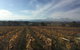 Tour 1 - Full Day, Wine Tasting Plus Lunch. - thumb 2