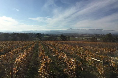 Tour 1 - Full Day, Wine Tasting Plus Lunch. - Nambucca Heads Accommodation 2