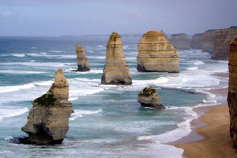 LGBT+ Friendly 2 Day Private Tour Great Ocean Road + Phillip Island - Nambucca Heads Accommodation 0