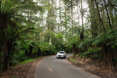 LGBT+ Friendly 3 Day Tour The Grampians, Daylesford & Ballarat - Nambucca Heads Accommodation 1