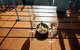 The Flavors Of Melbourne: Wine & Bites Private Tour - thumb 7