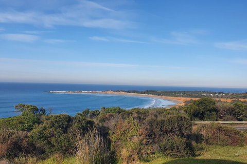 Private Great Ocean Road And Chocolaterie Tour With Tasting - Nambucca Heads Accommodation 5