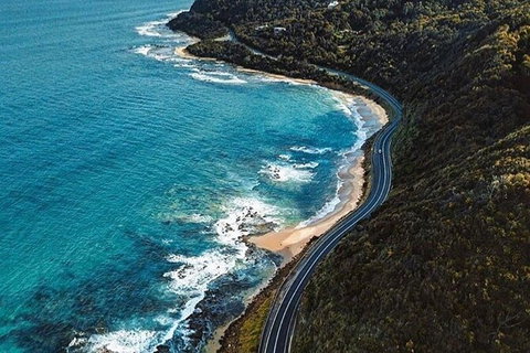 Private Great Ocean Road And Chocolaterie Tour With Tasting - Nambucca Heads Accommodation 6