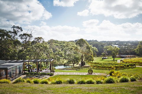 Mornington Peninsula 2-6 Guests Lunch Rare Hare Or Merricks General Wine Store - Nambucca Heads Accommodation 3