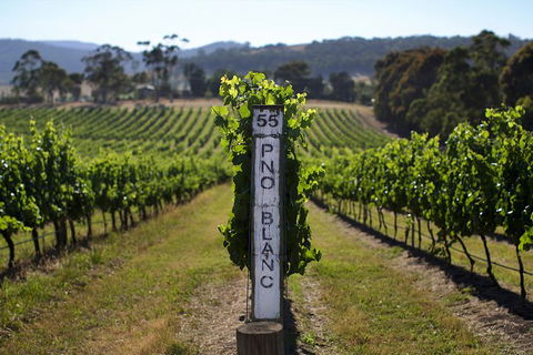 Mornington Peninsula 2-6 Guests Lunch Rare Hare Or Merricks General Wine Store - Nambucca Heads Accommodation 5