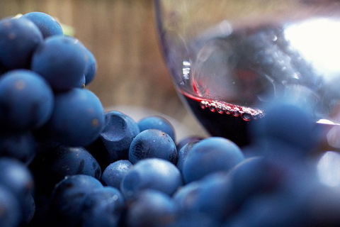 Mornington Peninsula Premium 2-6 Guests Lunch At Merricks General Wine Store - Nambucca Heads Accommodation 7