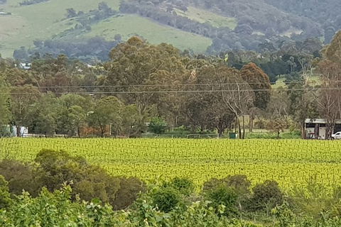 Day Tour Of Yarra Valley Puffing Billy And Rayners Orchard - Nambucca Heads Accommodation 44