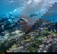 Ningaloo Adventure and Manta Ray Tour - Nambucca Heads Accommodation