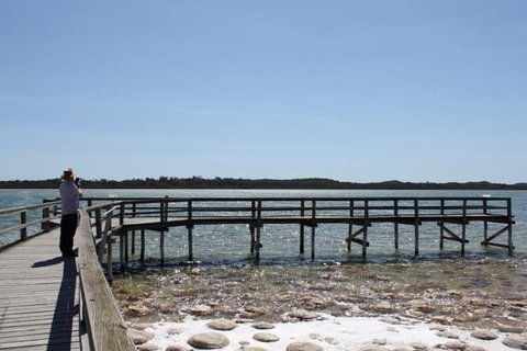 Busselton And Scenic Drive Full Day Tour - Nambucca Heads Accommodation 5