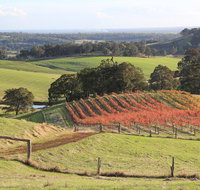 Ferguson Valley full day tour - Nambucca Heads Accommodation
