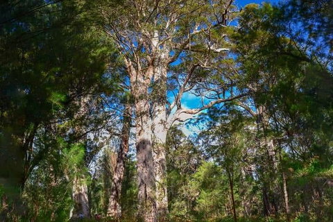 Breweries And Scenic Drive Full Day Tour - Nambucca Heads Accommodation 6