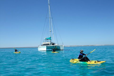 5 Night Ningaloo Reef Ningaloo Escape From Coral Bay - Nambucca Heads Accommodation 0