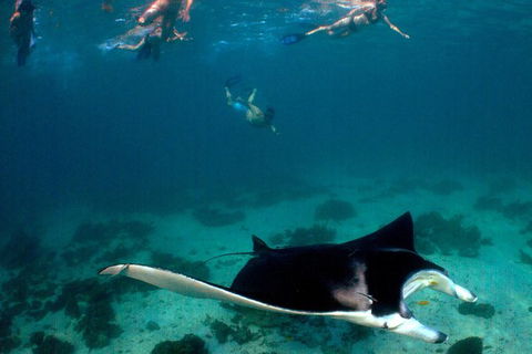 5 Night Ningaloo Reef Ningaloo Escape From Coral Bay - Nambucca Heads Accommodation 1