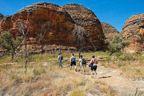 Bungle Bungle Explorer - Nambucca Heads Accommodation 0