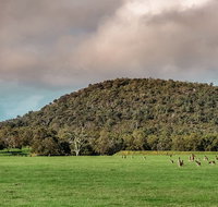 Baldwins Bluff Guided Hike - Nambucca Heads Accommodation
