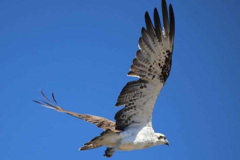 Romance Aircraft Flight + Scenic Tour + 3 Course Lunch + Beer Tasting + Hamper - Nambucca Heads Accommodation 4