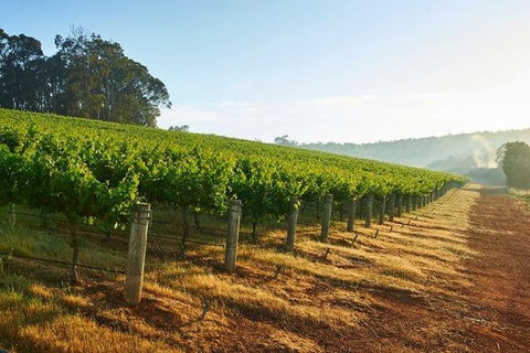 Botanical Gardens, Winery And Scenic Full Day Tour - Nambucca Heads Accommodation 2