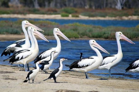 Romance Cruise + Scenic Tour + Beer Tasting + 3 Course Lunch + Hamper - Nambucca Heads Accommodation 5