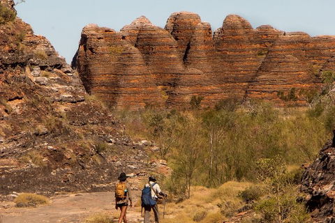 Bungles Day Trek Extended (with Echidna Chasm) - Nambucca Heads Accommodation 3