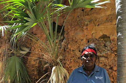 Bungles Day Trek Extended (with Echidna Chasm) - Nambucca Heads Accommodation 2