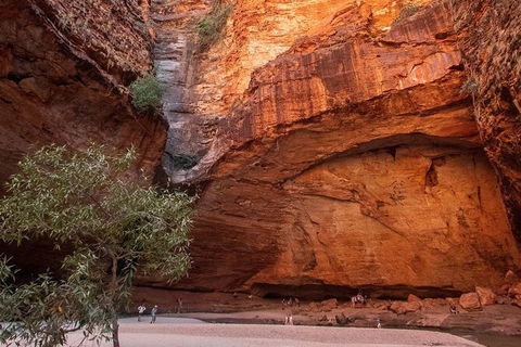 Bungles Day Trek Extended (with Echidna Chasm) - Nambucca Heads Accommodation 0