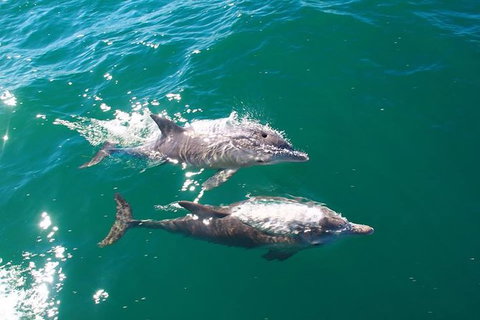 Sailing Kayak Adventure Through The Peel Harvey Estuary - Nambucca Heads Accommodation 1