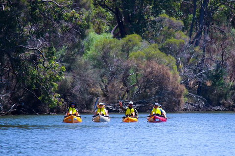 Private Guided River Kayak Tour - Nambucca Heads Accommodation 6