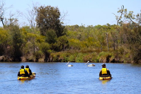 Private Guided River Kayak Tour - Nambucca Heads Accommodation 4