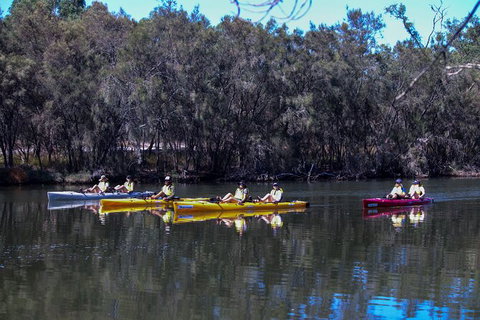 Private Guided River Kayak Tour - Nambucca Heads Accommodation 5