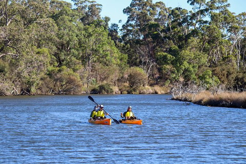 Private Guided River Kayak Tour - Nambucca Heads Accommodation 7