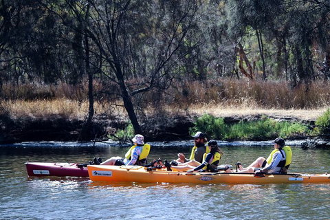 Private Guided River Kayak Tour - Nambucca Heads Accommodation 3