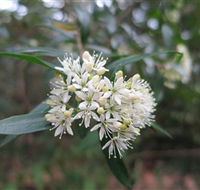 Booderee National Park - Nambucca Heads Accommodation