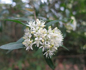 Booderee National Park - Nambucca Heads Accommodation 0
