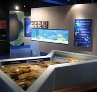 Marine and Freshwater Discovery Centre - Nambucca Heads Accommodation
