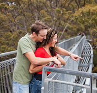 Valley of the Giants Tree Top Walk - Nambucca Heads Accommodation