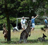 Glen Innes Golf Club - Nambucca Heads Accommodation