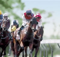 Colac Turf Club - Nambucca Heads Accommodation