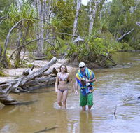 Tjuwaliyn / Douglas Hot Springs Park - Nambucca Heads Accommodation