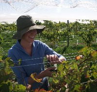 Kingsdale Wines - Nambucca Heads Accommodation