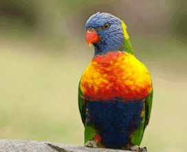 Booderee National Park - Nambucca Heads Accommodation 1